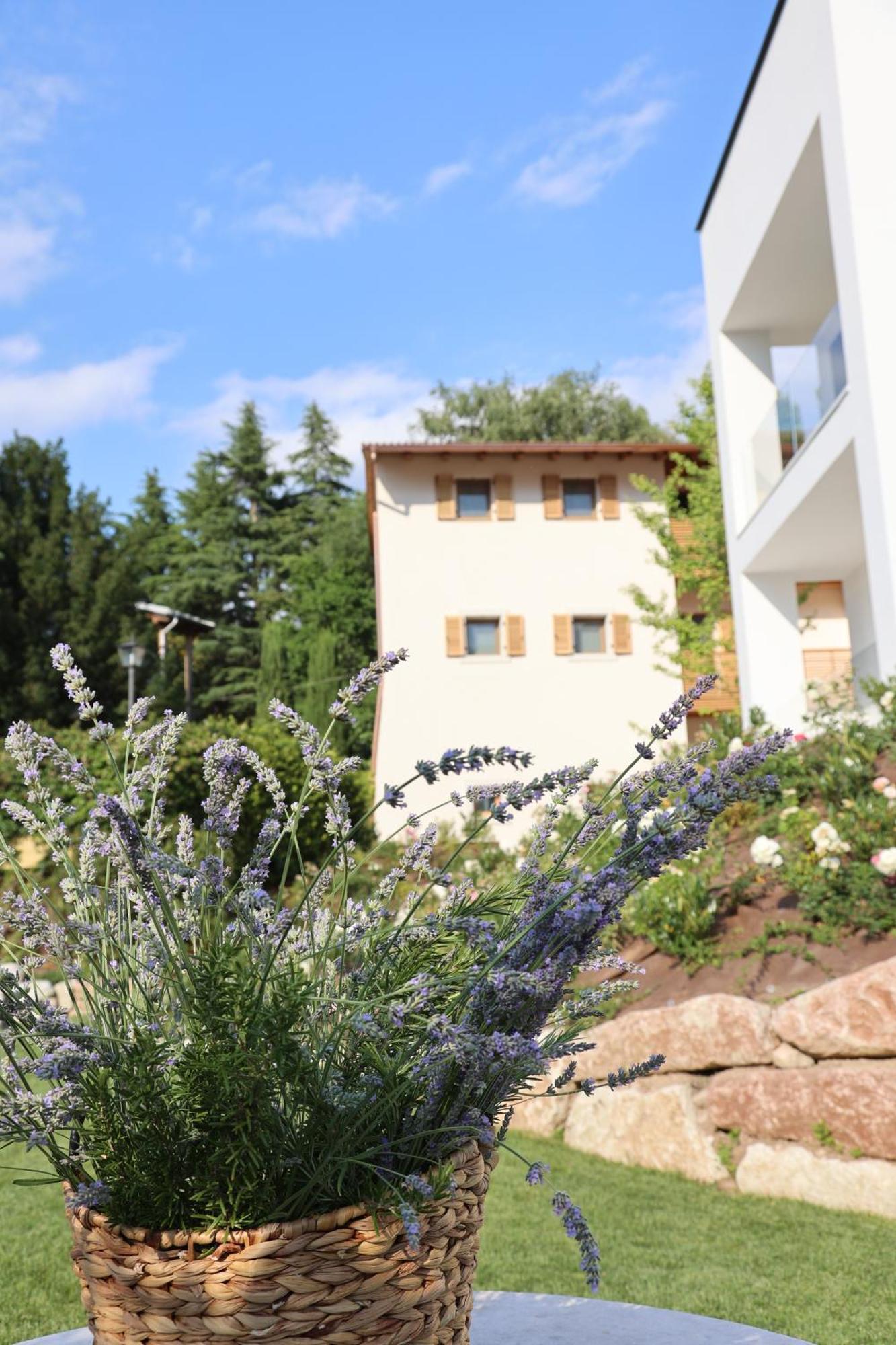 Midum Luxuryapartments Trento Exterior photo